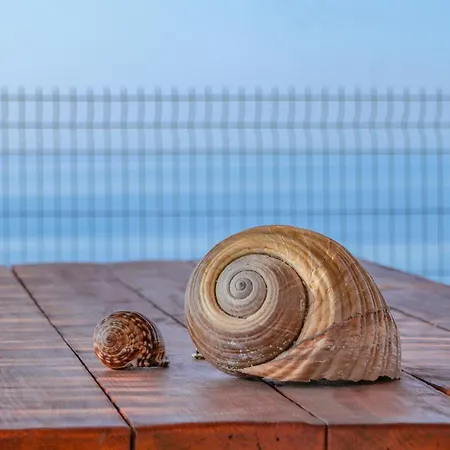 Blue Heaven Kerami *