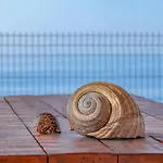 Blue Heaven Kerami *