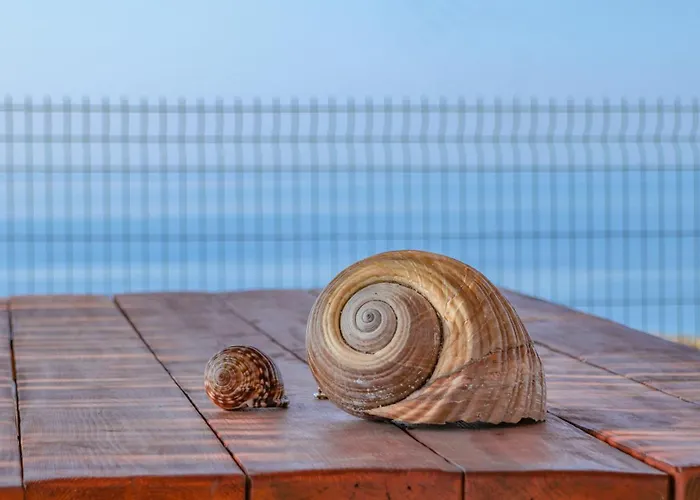 Blue Heaven Kerami *